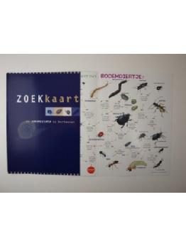geen plaatje