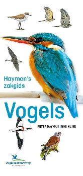 geen plaatje