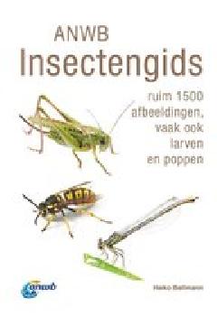 geen plaatje
