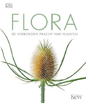 geen plaatje