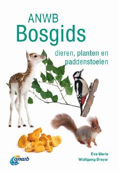 geen plaatje
