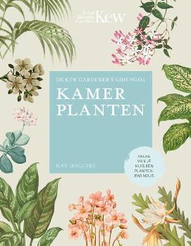geen plaatje