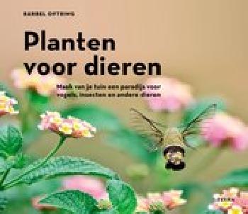 geen plaatje