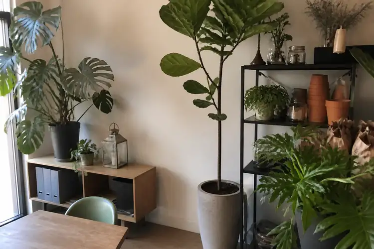 Botanische lifestyle inrichting