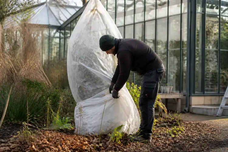 Seizoensonderhoud winterbescherming