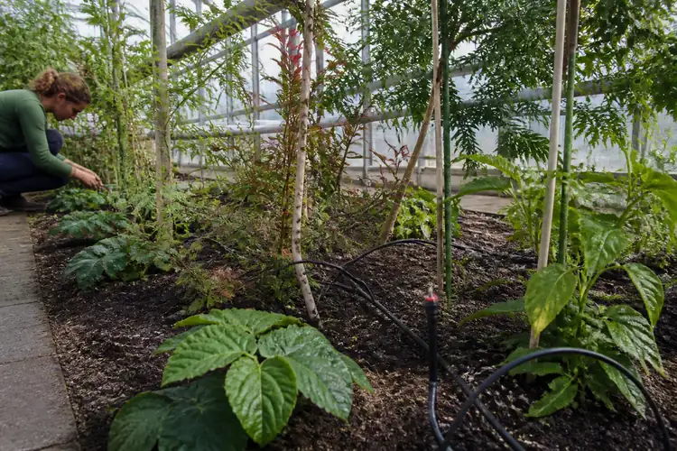Slimme irrigatie bewatering