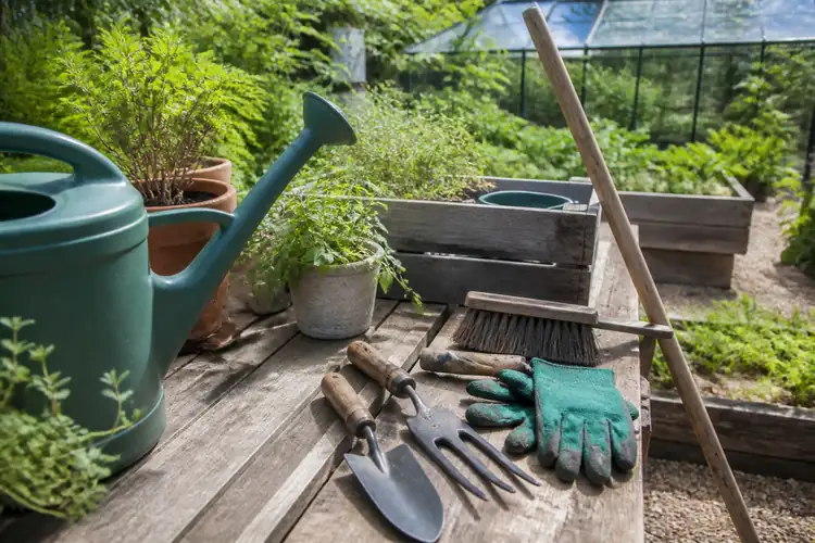 Premium tuinonderhoud gereedschap