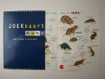 geen plaatje