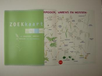 geen plaatje