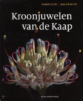 geen plaatje