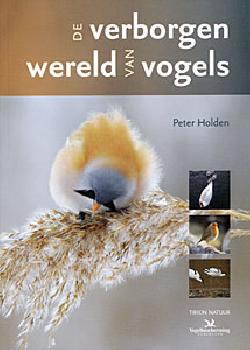 geen plaatje