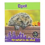 geen plaatje