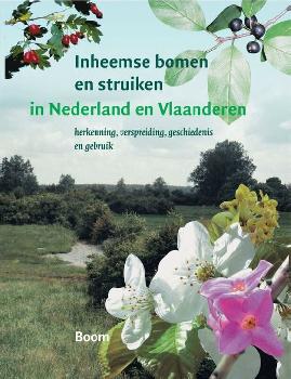 geen plaatje