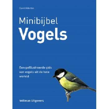 geen plaatje