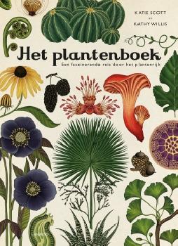 geen plaatje