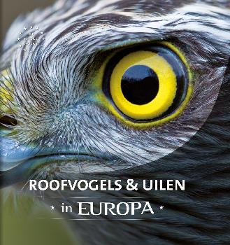 geen plaatje