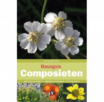 geen plaatje