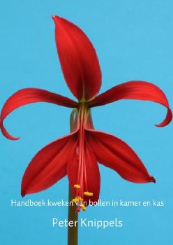 geen plaatje