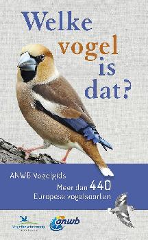 geen plaatje
