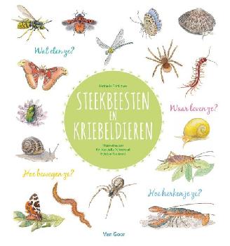 geen plaatje