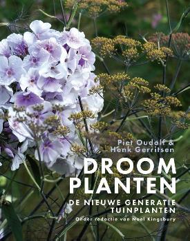 geen plaatje