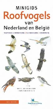geen plaatje