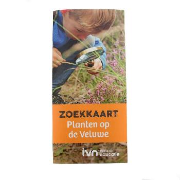geen plaatje