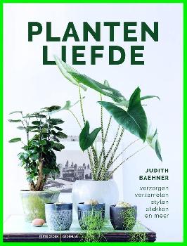 geen plaatje