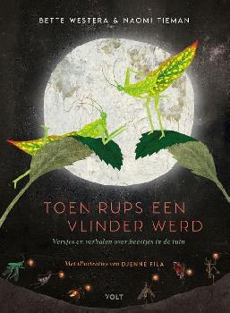 geen plaatje