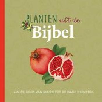 geen plaatje